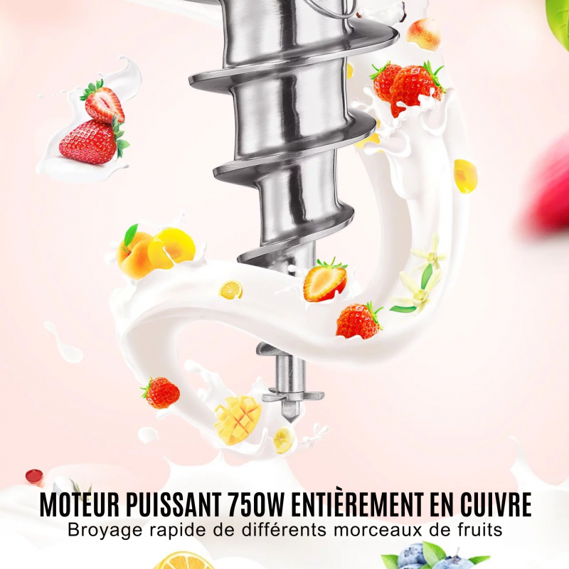 Turbine à Glace Professionnelle avec Mélangeur Crème et Sorbet | 750 W Inox – Image 2